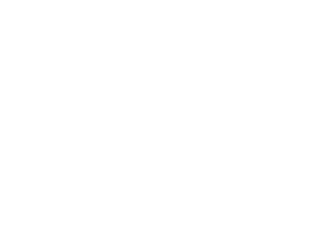 Candoor_Stacked_Logos-White-300x218